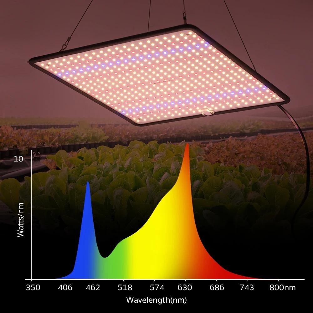 Grow Light 1200W Full Spectrum LED for Indoor Plant Growth 4X4 Ft Coverage Area