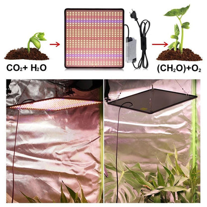 Grow Light 1200W Full Spectrum LED for Indoor Plant Growth 4X4 Ft Coverage Area